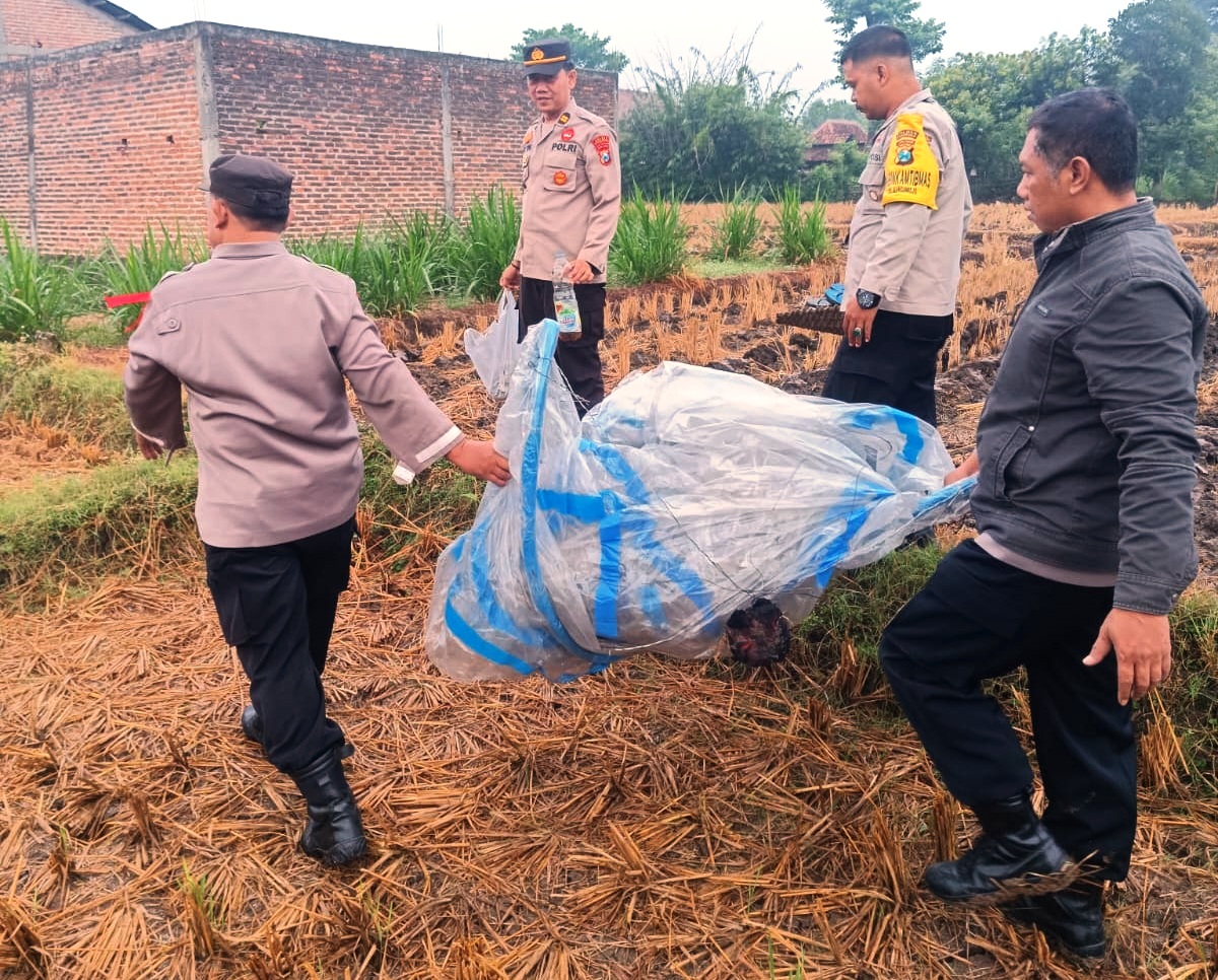 MBEBAYANI: Petugas Polsek Sukorejo ngamanake balon udara sing tiba neng sawah Minggu (14/4). (POLRES PONOROGO)