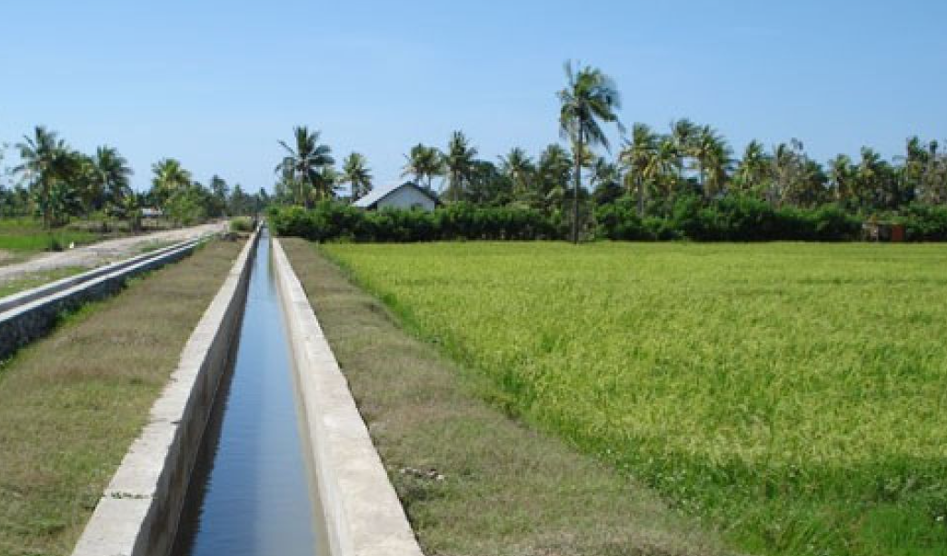 Ilustrasi irigasi pertanian (ANTARA)