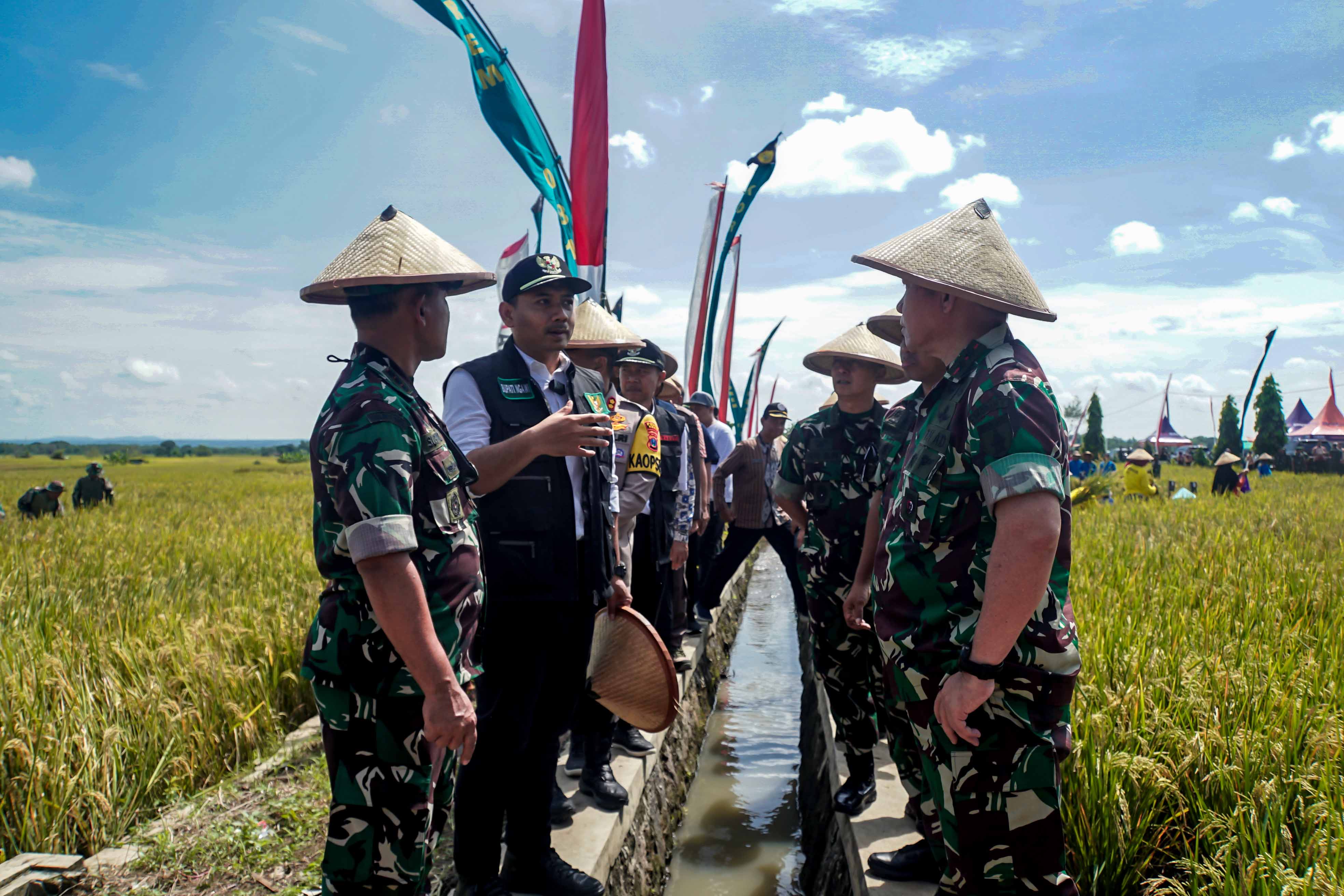 PANEN RAYA: Panglima&nbsp;Kodam V/Brawijaya Mayor Jenderal TNI Rafael Granada Baay didampingi Forkopimda Ngawi dalam panen raya di Desa Sekarputih, Jumat (19/4).