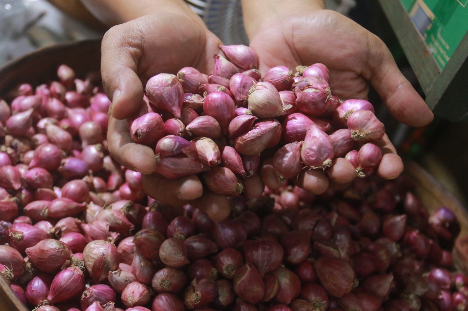 BANDEROL MEROKET: Harga bawang merah naik signifikan. Tembus Rp 55 ribu per kilogram di Kota Madiun. (BAGAS BIMANTARA/RADAR MADIUN)