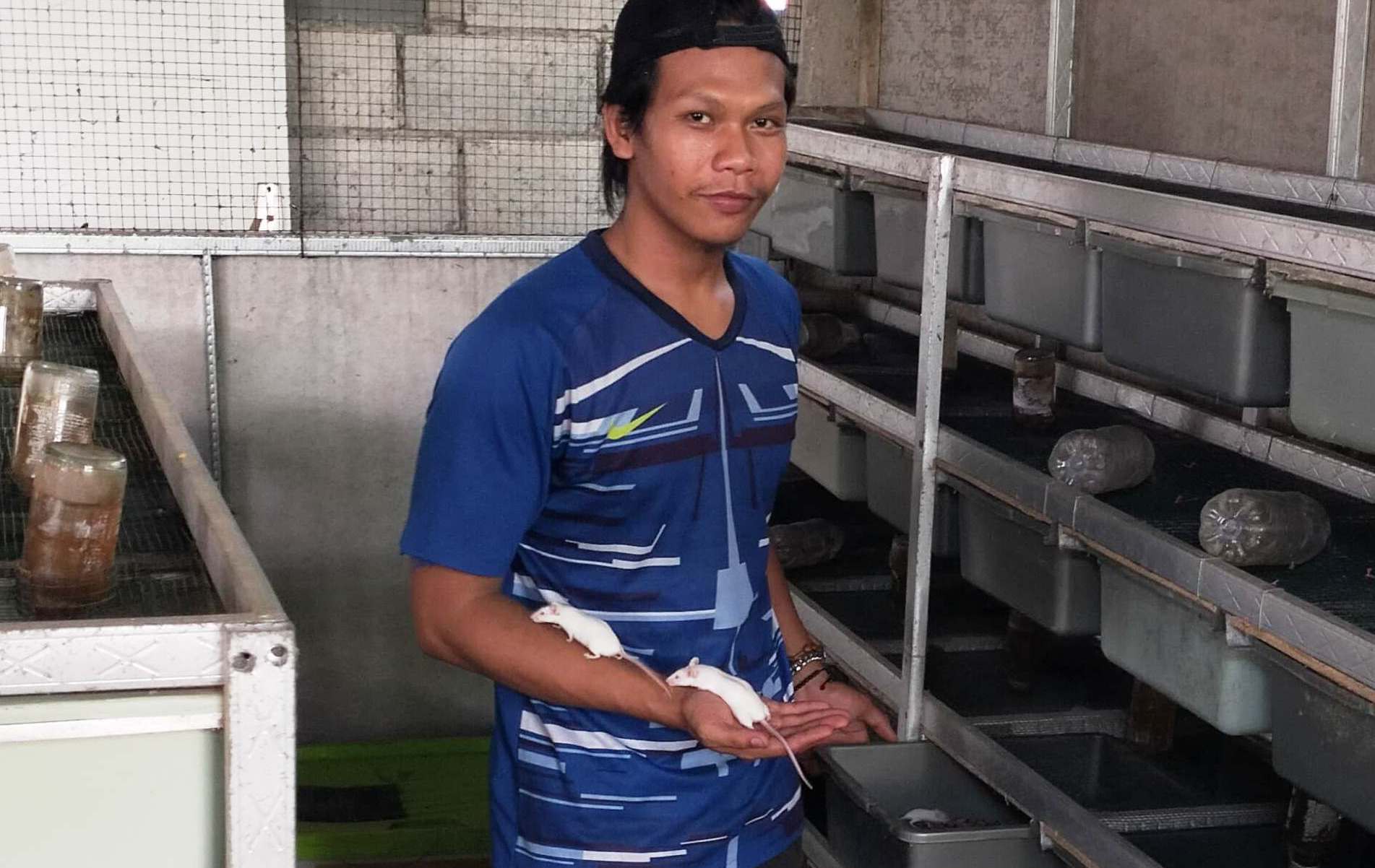 TLATEN: Fangky Affendi nuduhake tikus putih asil budidayane. (LODITYA FERNANDEZ/RADAR MADIUN)
