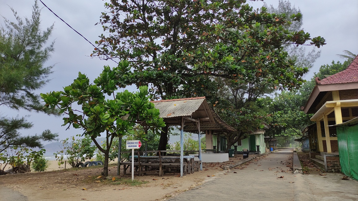 MATI SURI: Kaanane Pantai Taman, Desa Hadiwarno, Ngadirojo, Pacitan, saiki. (NUR CAHYONO/RADAR MADIUN)