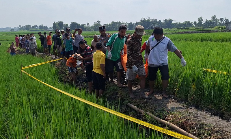 NAHAS: Petugas mengevakuasi jasad Sunaryo, 55, yang ditemukan tewas di sawah Desa Sumber Bening, Bringin, Ngawi, kemarin.