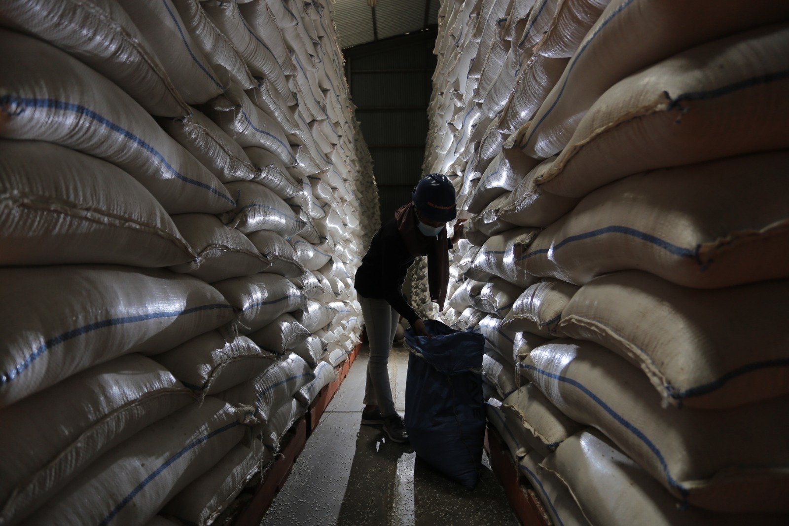 PANGAN: Bulog Madiun menerjunkan tim khusus untuk menggenjot serapan gabah dan beras tahun ini. (BAGAS BIMANTARA/RADAR MADIUN)