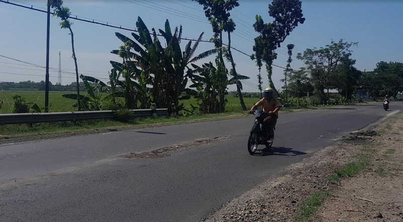 SEUMUR JAGUNG : Belum ada satu pekan diperbaiki, Jalan Ngawi-Solo rusak kembali. Pihak pelaksana diminta melakukan perbaikan lagi.