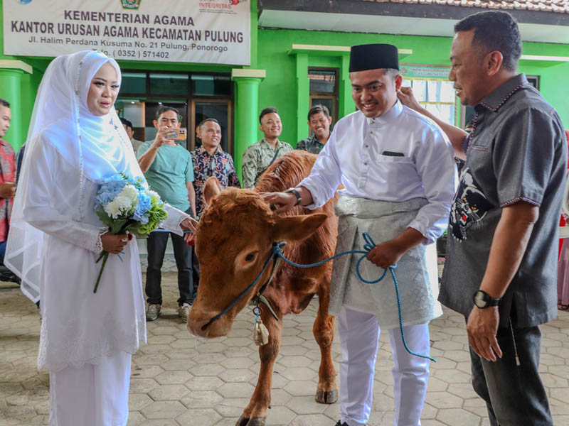 MAHAR : Danang Saputra menyerahkan sapi sebagai mas kawin saat menikahi Dita Eka Wahyu Sukmawati di KUA Pulung, POnorogo, Jumat (5/7).