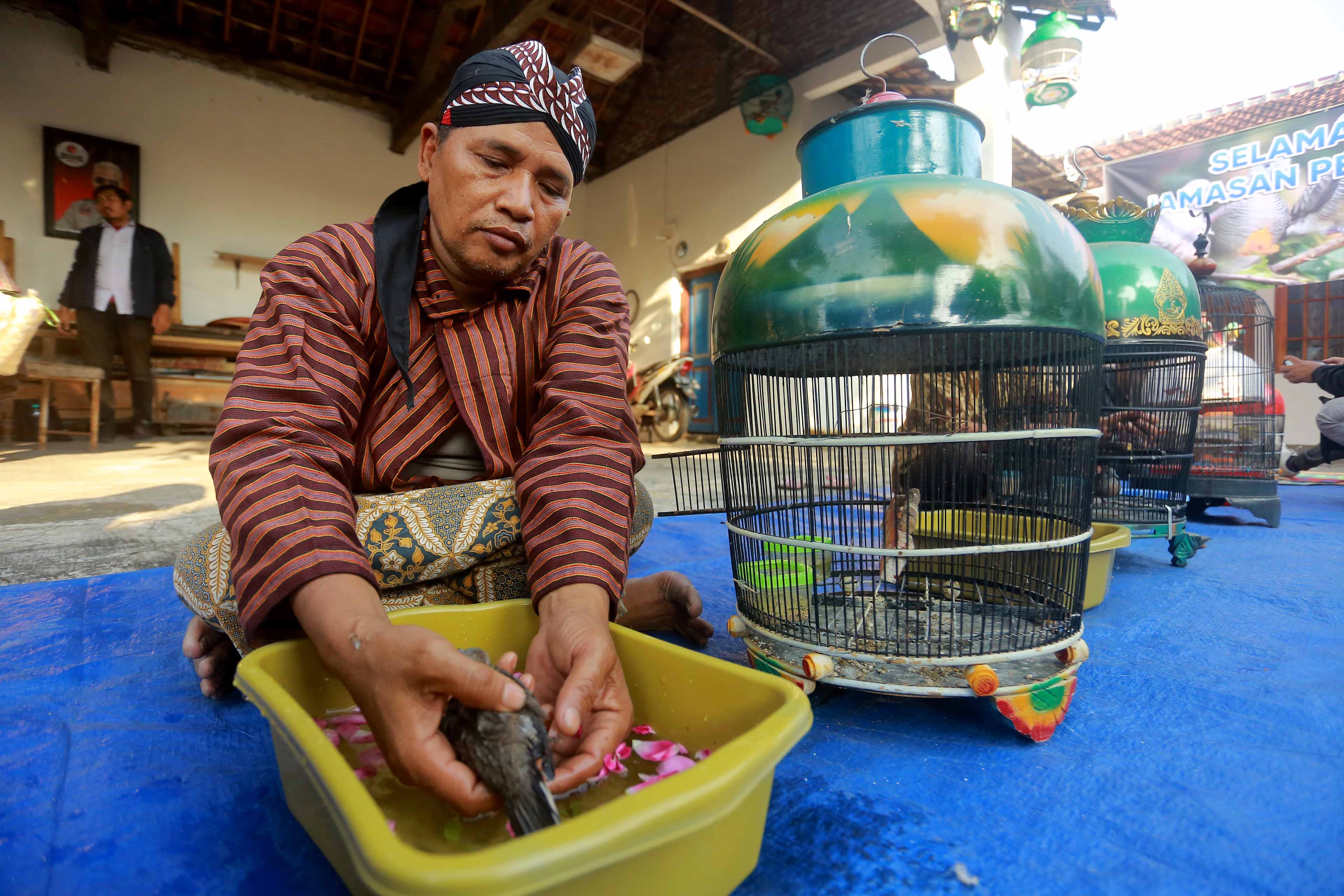 JAMASAN: Para anggota Komunitas Pecintut Kota Madiun memandikan burung perkutut peliharaannya, Senin (8/7).&nbsp;(BAGAS BIMANTARA/RADAR MADIUN)