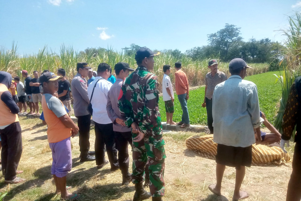EVAKUASI: Seorang lansia ditemukan meninggal dunia di persawahan saat mencari daun tebu di Desa Selorejo, Kecamatan Kawedanan.