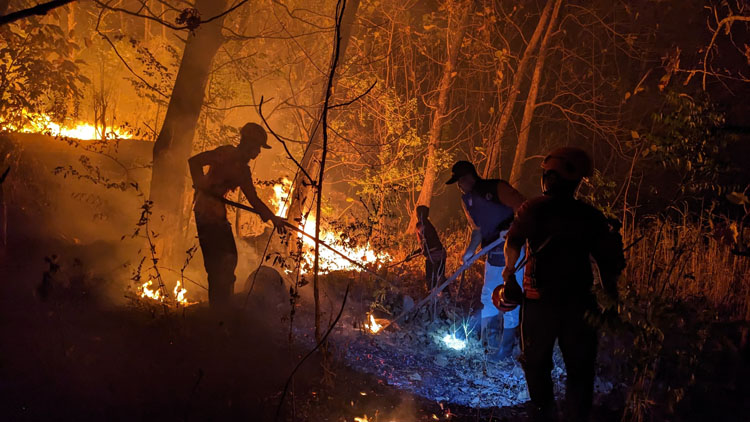MEMBARA: Petugas BPBD dan relawan melakukan upaya pemadaman karhutla di Gunung Gombak, Desa Muneng, Balong.