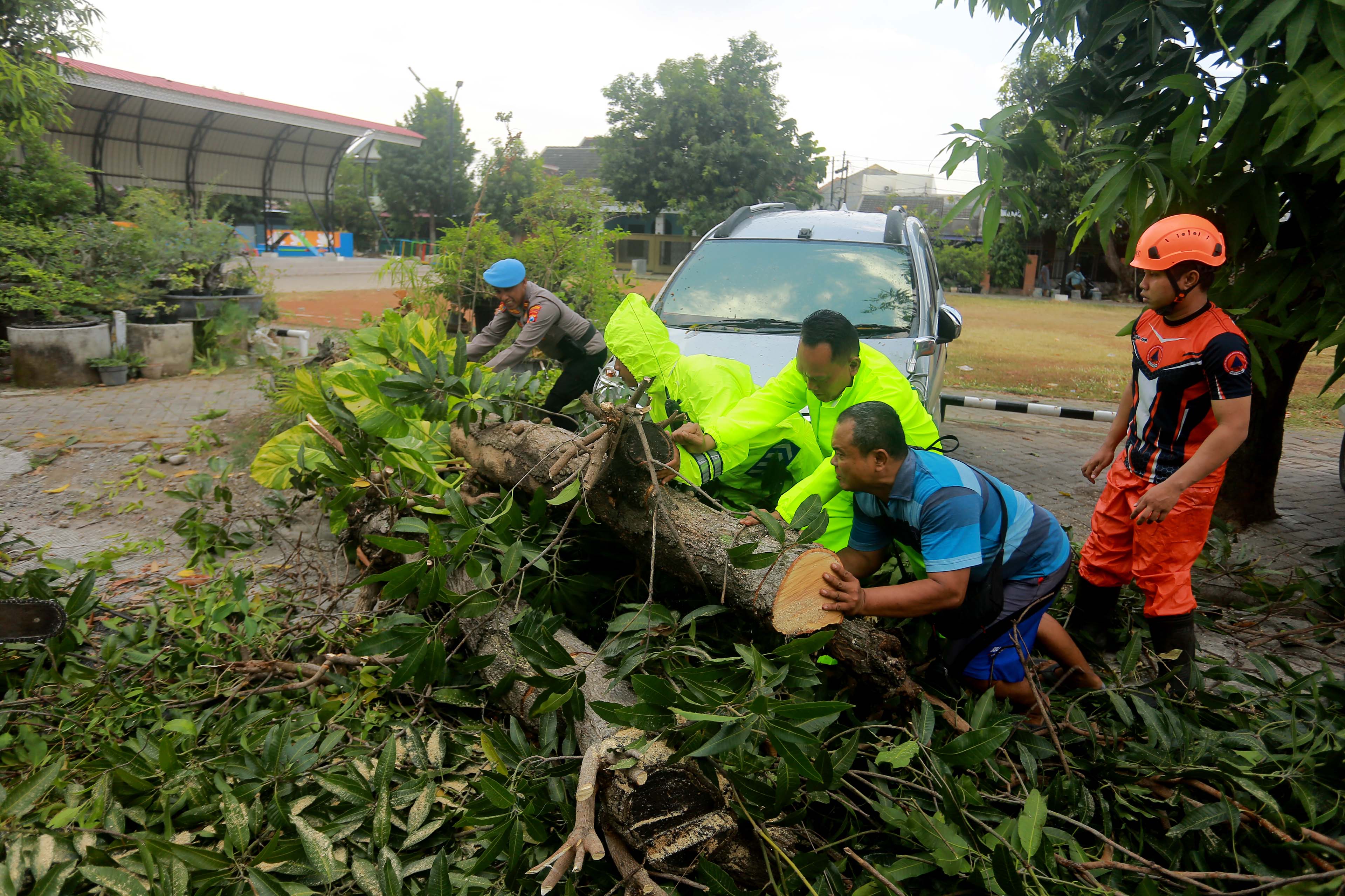 GOTONG ROYONG: Petugas BPBD, disperkim, dan Satlantas Porles Madiun Kota mengevakuasi mobil yang tertimpa pohon di Jalan Jalan Endah Manis, Kelurahan Manisrejo, Taman, kemarin (9/9).