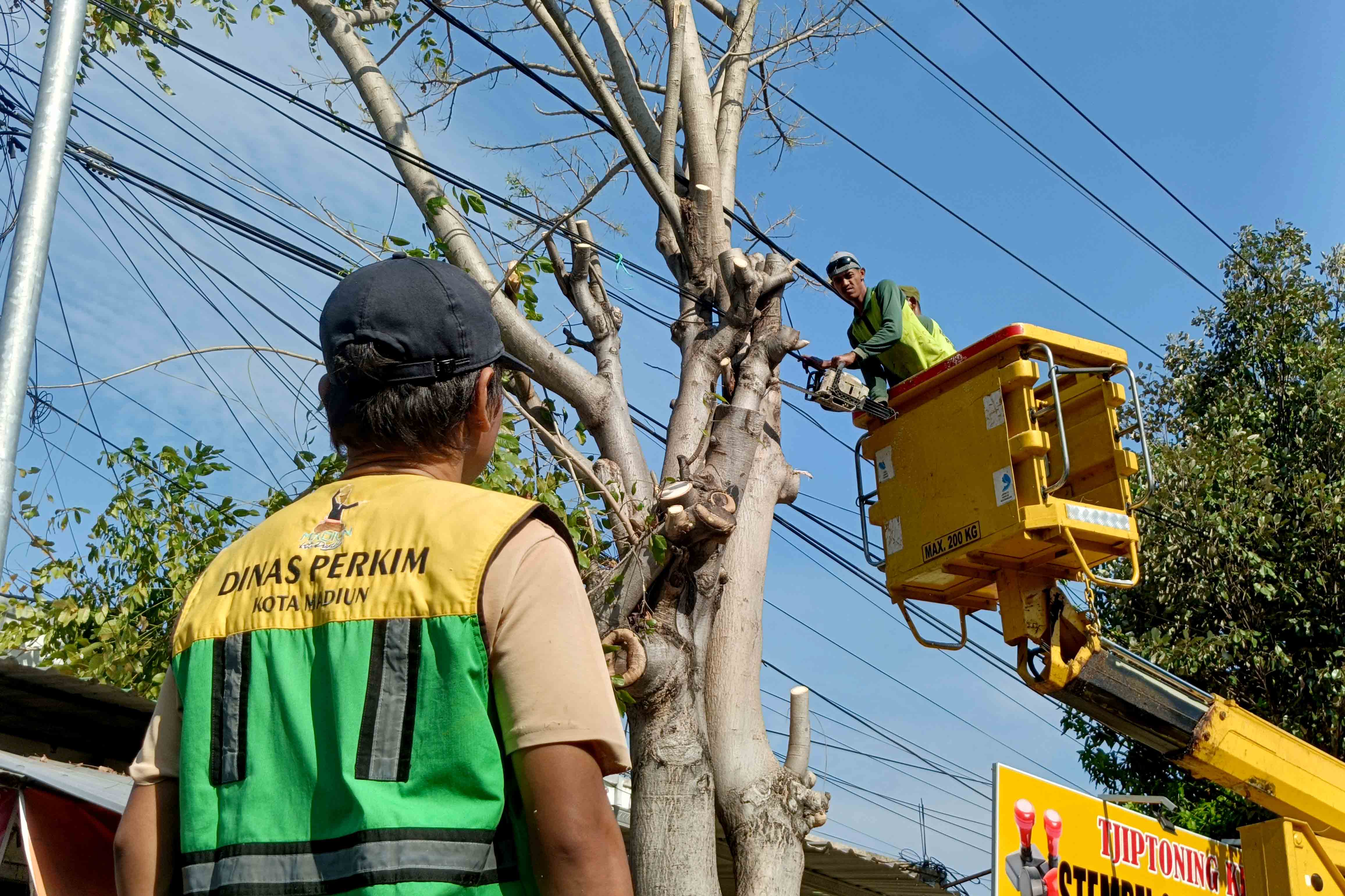 ANTISIPASI ROBOH: Sejumlah petugas Disperkim Kota Madiun memangkas pohon tepi jalan, Kamis (12/9).&nbsp;(BAGAS BIMANTARA/RADAR MADIUN)