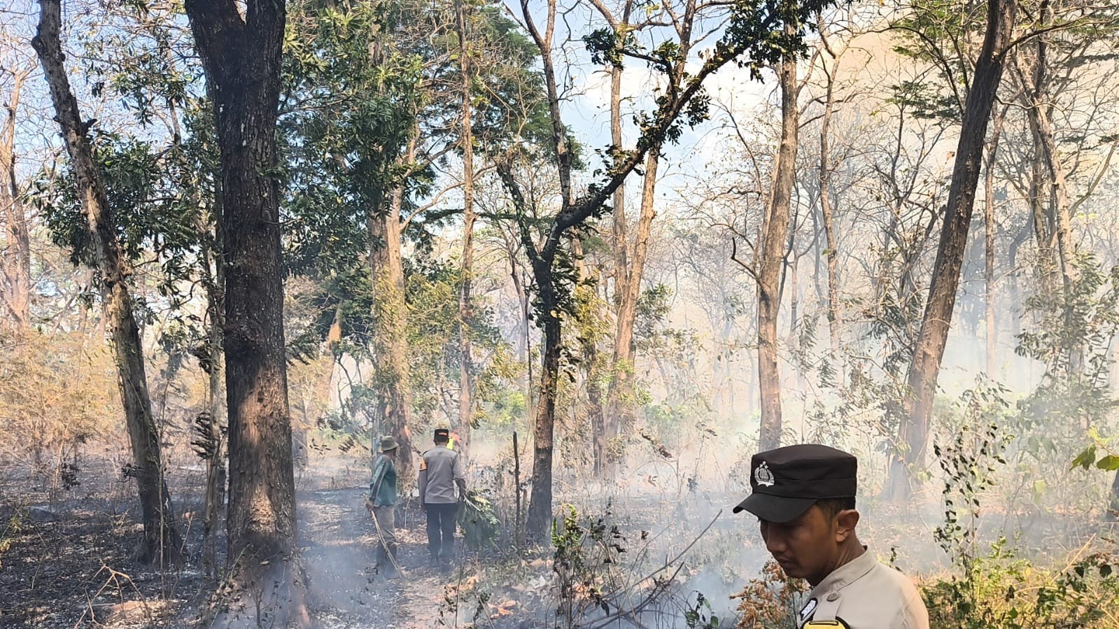 KARHUTLA: Petugas gabungan melakukan pemadaman kebakaran di petak 49F RPH Sidowayah BKPH Kedunggalar, masuk Desa Banjarbanggi, Pitu, Ngawi, Selasa (17/9).
