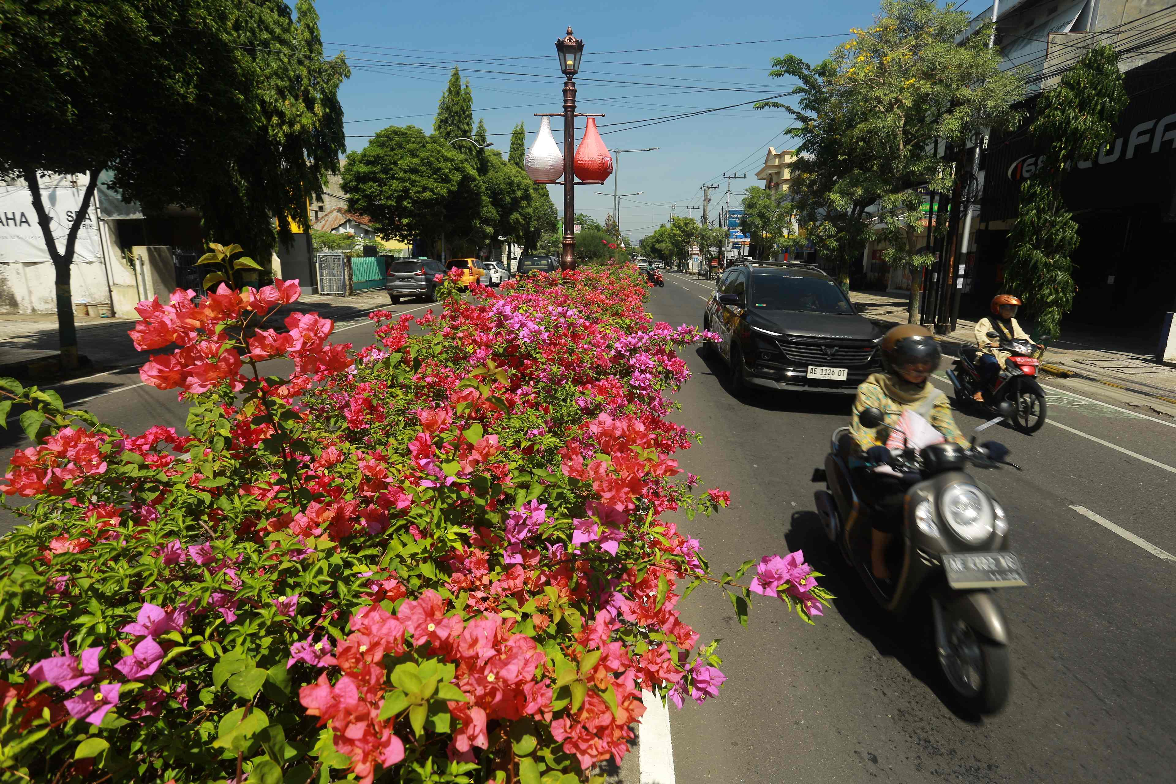 MEKAR: Kondisi bunga di Jalan Mastrip di Kota Madiun. Disperkim bakal tambah tanaman bunga tahun depan.&nbsp;(BAGAS BIMANTARA/RADAR MADIUN)