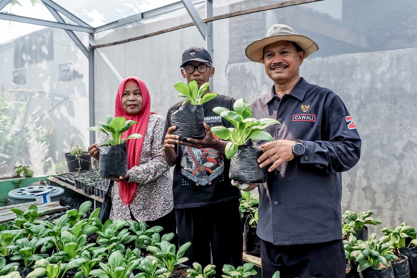 Cawali Maidi saat mengunjungi P2L di Kelurahan Sukosari. (ISTIMEWA)