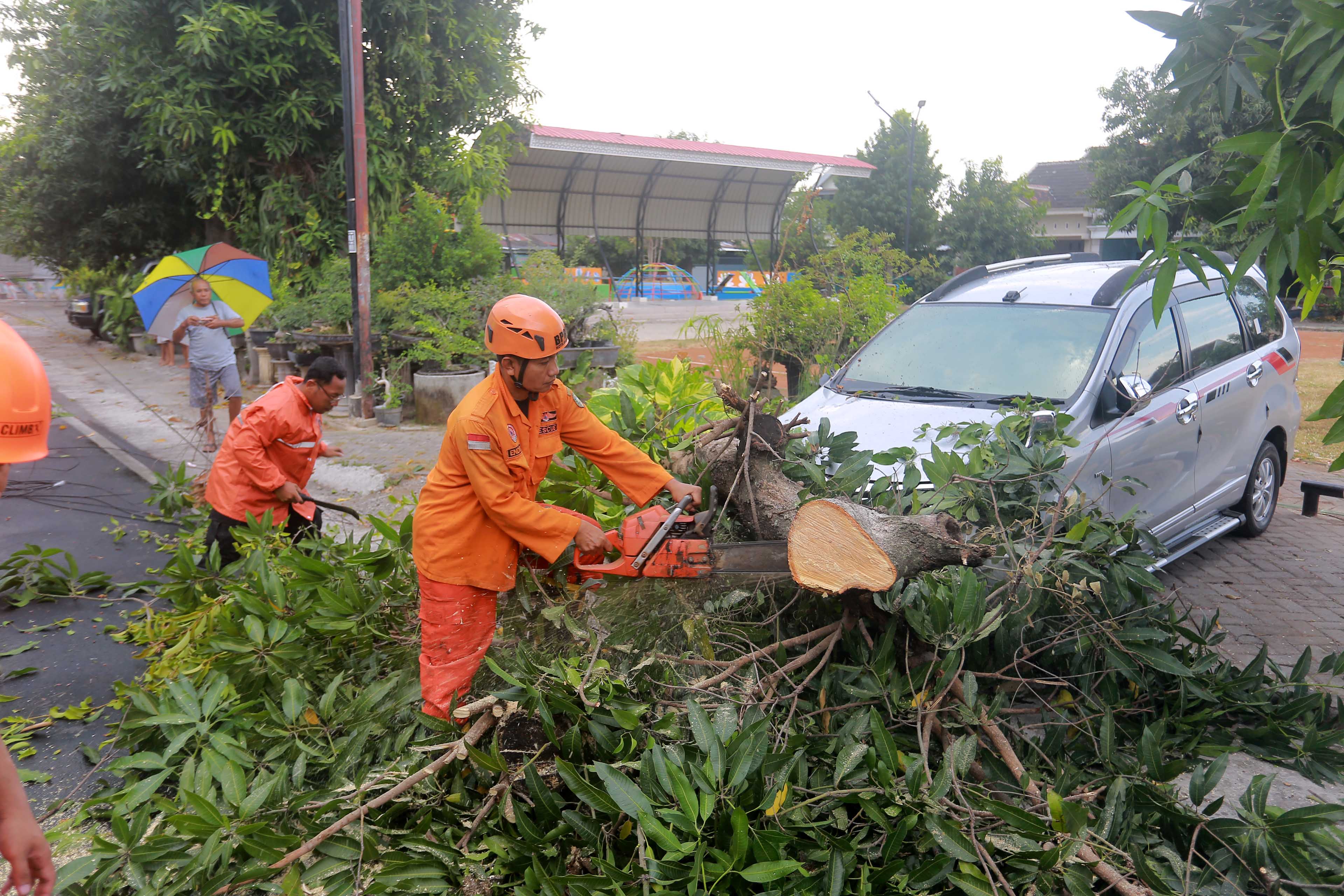 BENCANA: Salah satu kejadian pohon tumbang di Kota Madiun beberapa waktu lalu. (BAGAS BIMANTARA/RADAR MADIUN)
