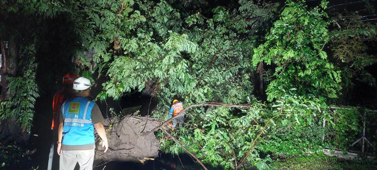 TERGANGGU: PLN UP3 Ponorogo menangani tiang listrik roboh di Desa Poko akibat cuaca ekstrem, Rabu 20 November 2024.