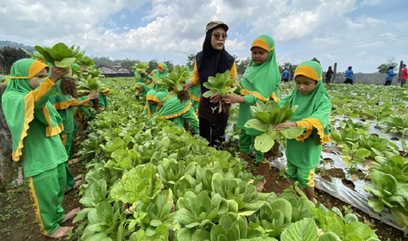 SINAU: Bocah-bocah sinau babagan pertanian ing Agrowisata Amanah, Karanganyar, Jawa Tengah. (DOKUMEN/RADAR SOLO)
