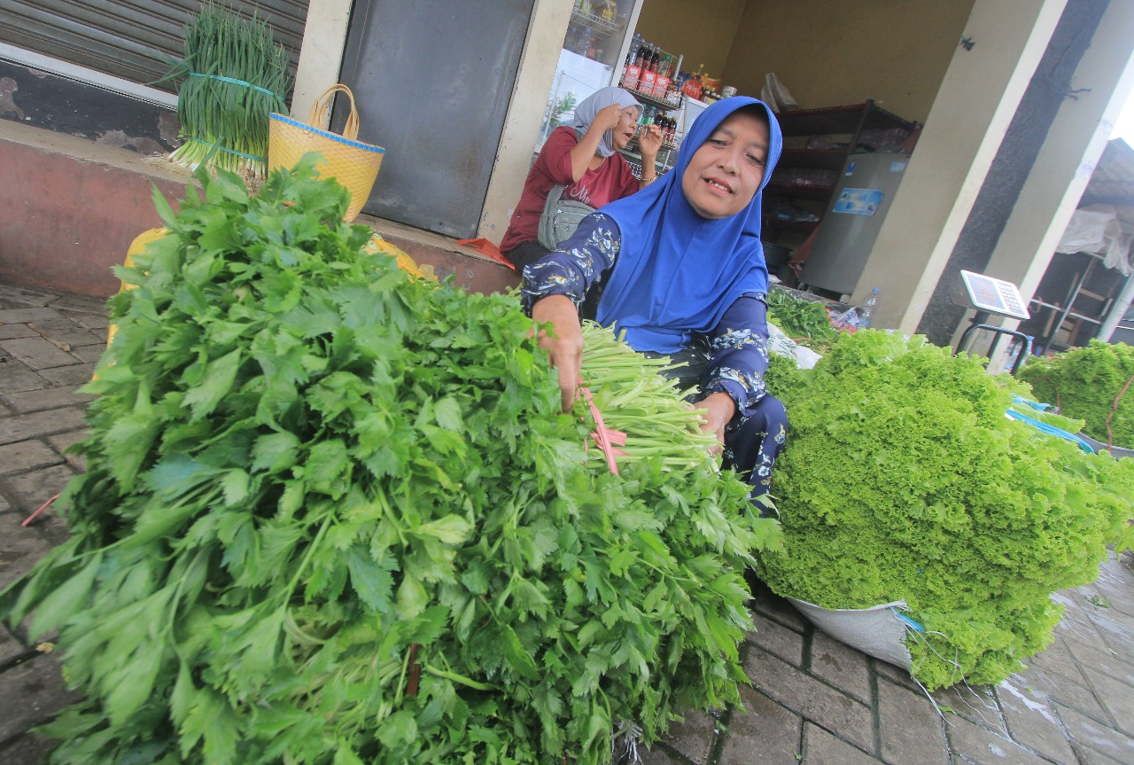 HASIL BUMI: Harga berbagai komoditas sayuran di Magetan merangkak naik.