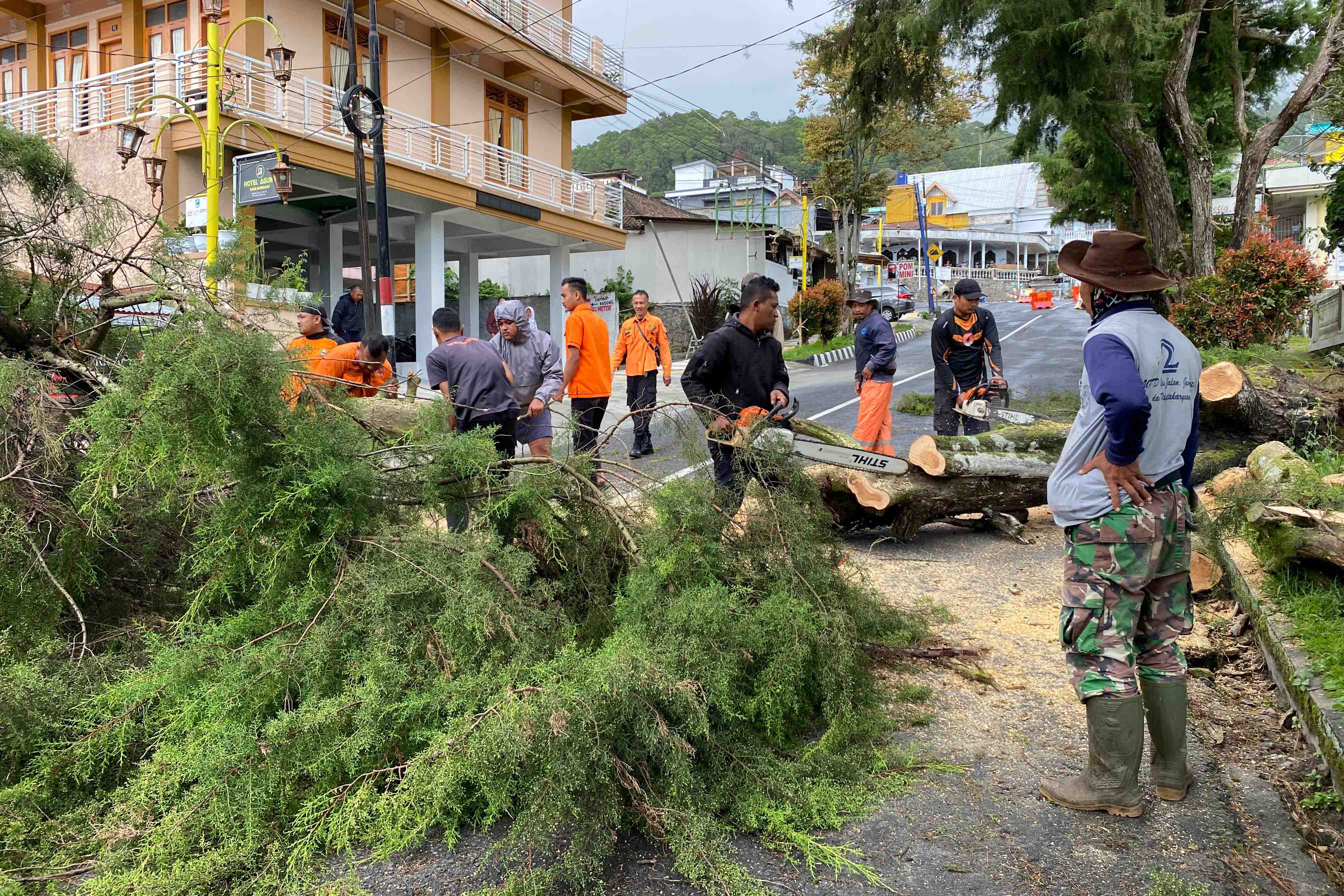 TUMBANG: Petugas BPBD Magetan dengan dibantu warga setempat mengevakuasi batang pohon cemara yang roboh dan menutup akses jalan menuju ke Sarangan, Selasa (10/12).