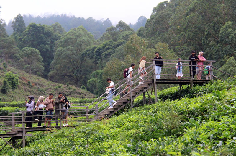 RAMAI: Sejumlah wisatawan menikmati suasana Kebun Teh Jamus di Kecamatan Sine, Ngawi, saat libur tahun baru hari Rabu 1 Januari 2025.