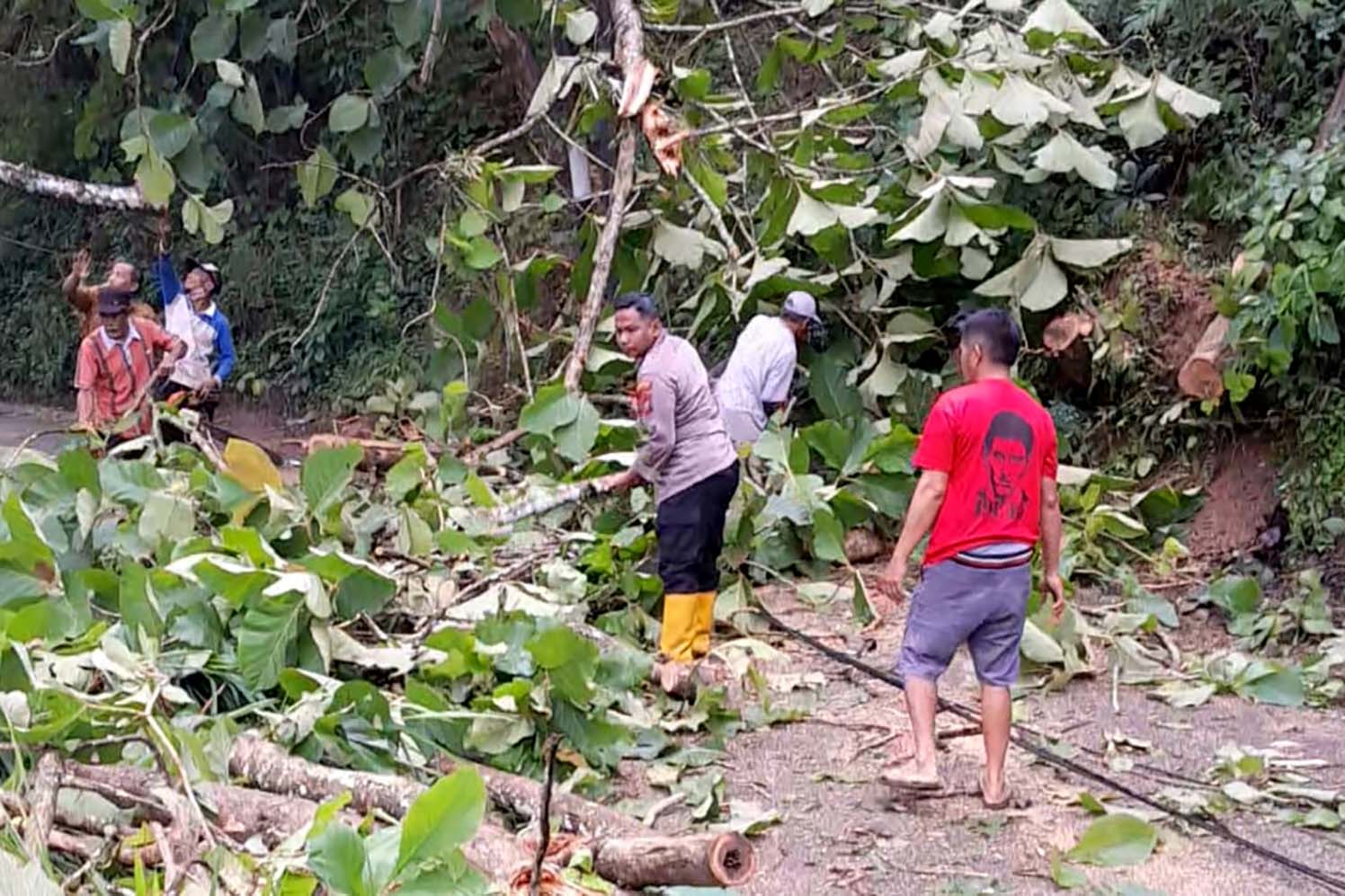 KERJA BAKTI: Petugas bersama masyarakat membersihkan pohon tumbang di Jalan Tulakan-Tegalombo, Senin (13/12).