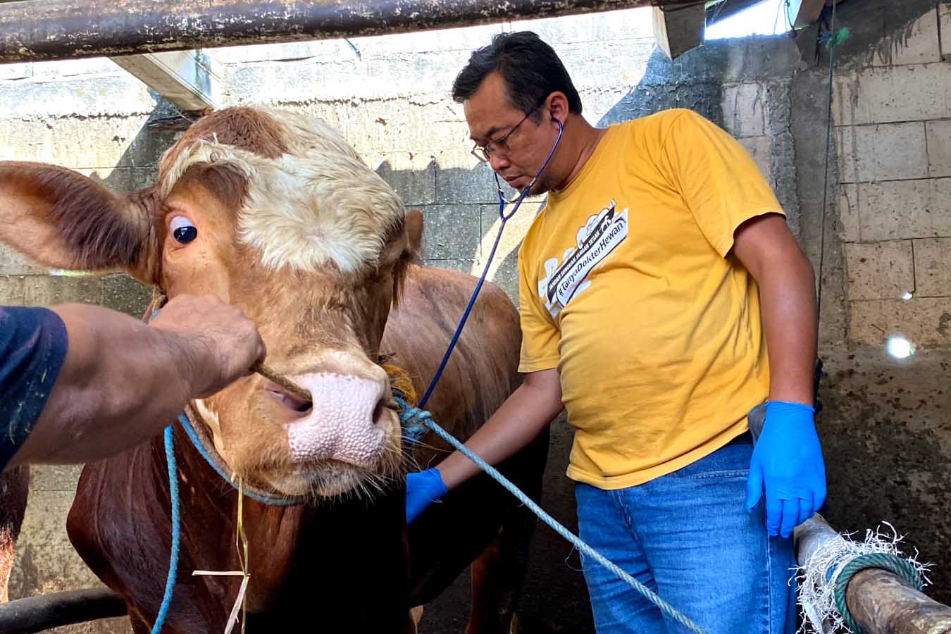 Ilustrasi Foto : DKPP Kabupaten Madiun saat melakukan vaksinasi penyakit mulut dan kuku (PMK) di peternak sapi di Kecamatan Wungu beberapa waktu lalu.