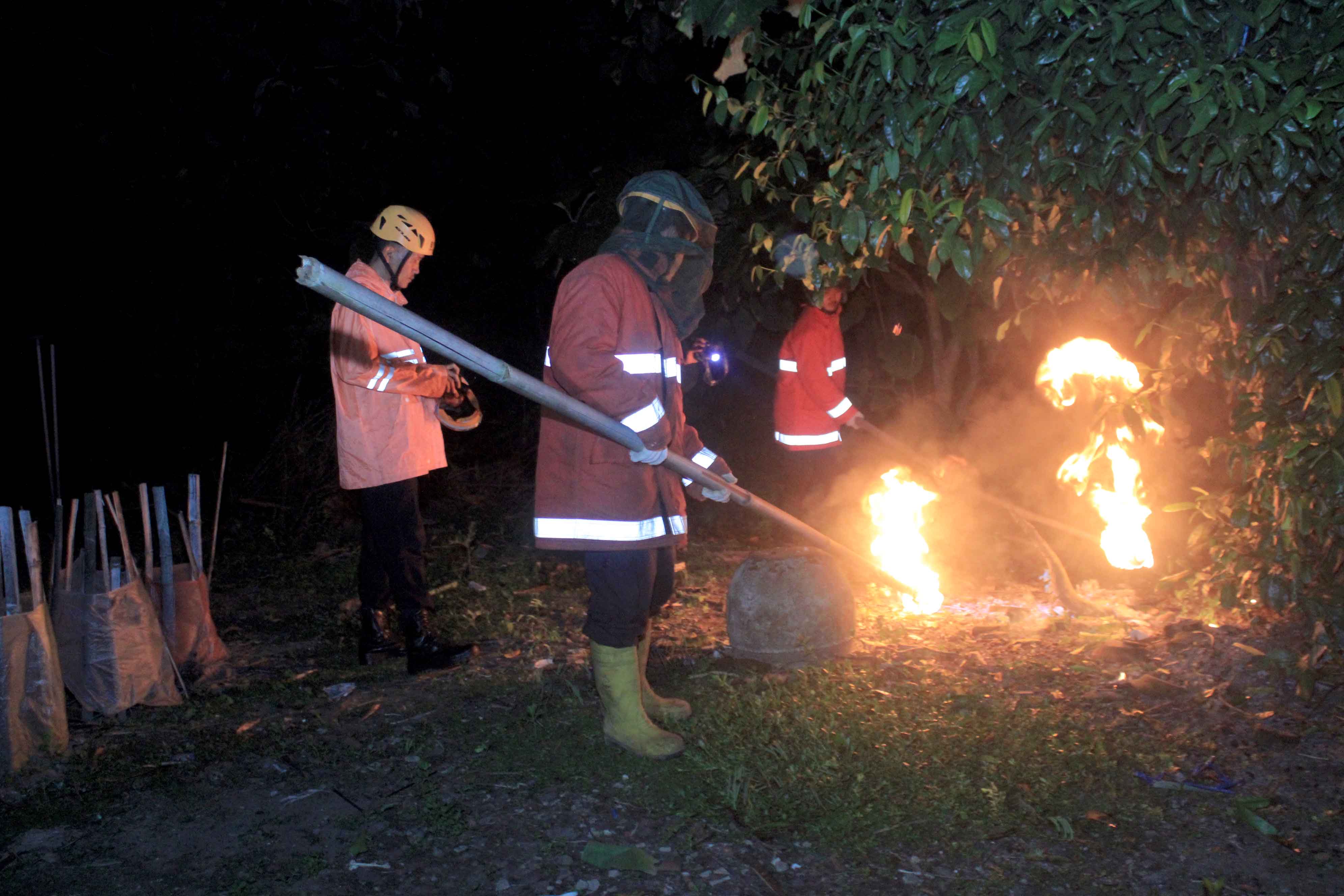 MEMBAHAYAKAN WARGA : Petugas TRC BPBD Magetan membasmi sarang tawon endas yang ada di pohon melinjo di Desa Jonggrang, Kecamatan Barat pada Selasa malam 4 Februari 2025.