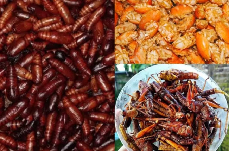 KOLASE: Maneka kuliner ekstrem kas Kabupaten Gunungkidul, Jogjakarta. (DOKUMEN/RADAR JOGJA)