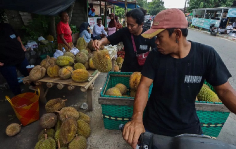 LARIS MANIS: Salah siji lapak durian ing Jatinom, Klaten (DOKUMEN/RADAR SOLO)