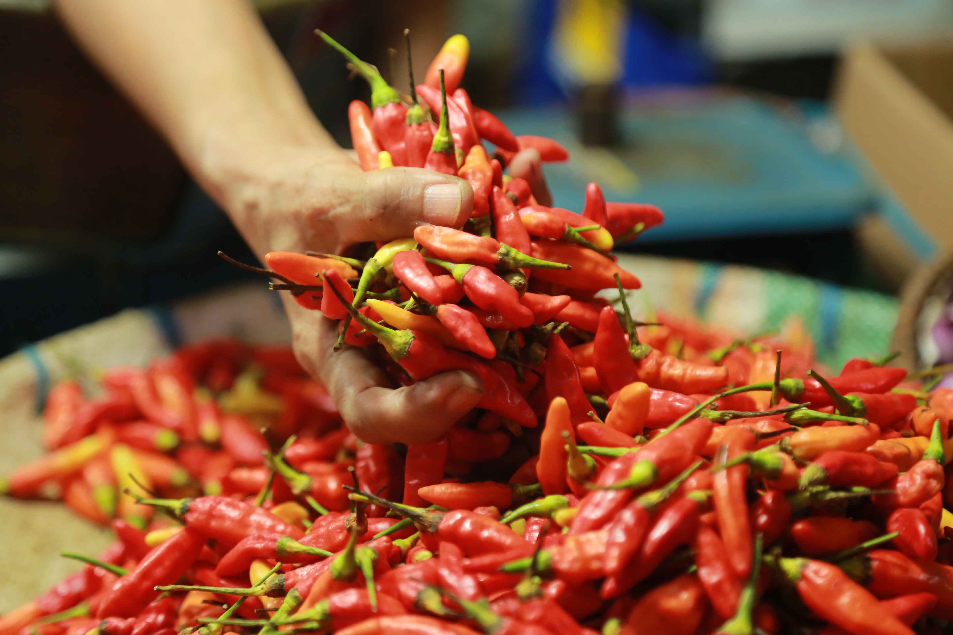 SEMBAKO: Bawang merah dan cabai berpotensi naik harga di antara komoditas bahan pokok lainnya menjelang Ramadan.&nbsp;