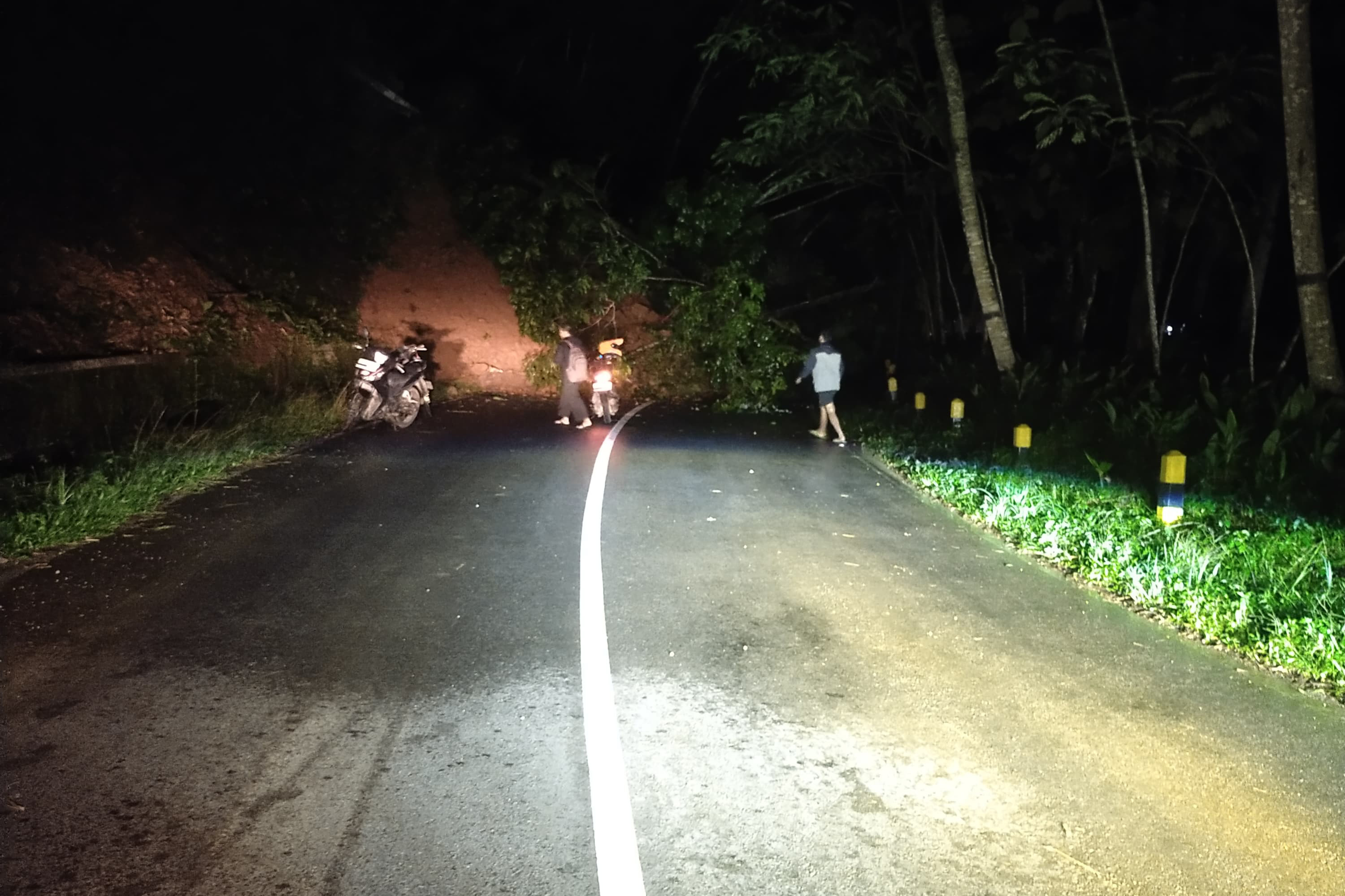 AKSES TERSENDAT: Material longsor menutup badan Jalan Pacitan-Ponorogo di wilayah Kecamatan Tegalombo, Rabu 19 Februari 2025 malam.