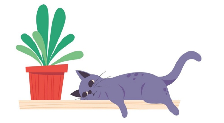 ILUSTRASI: Kucing dipercaya minangka kewan sing malati. (FREEPIK)