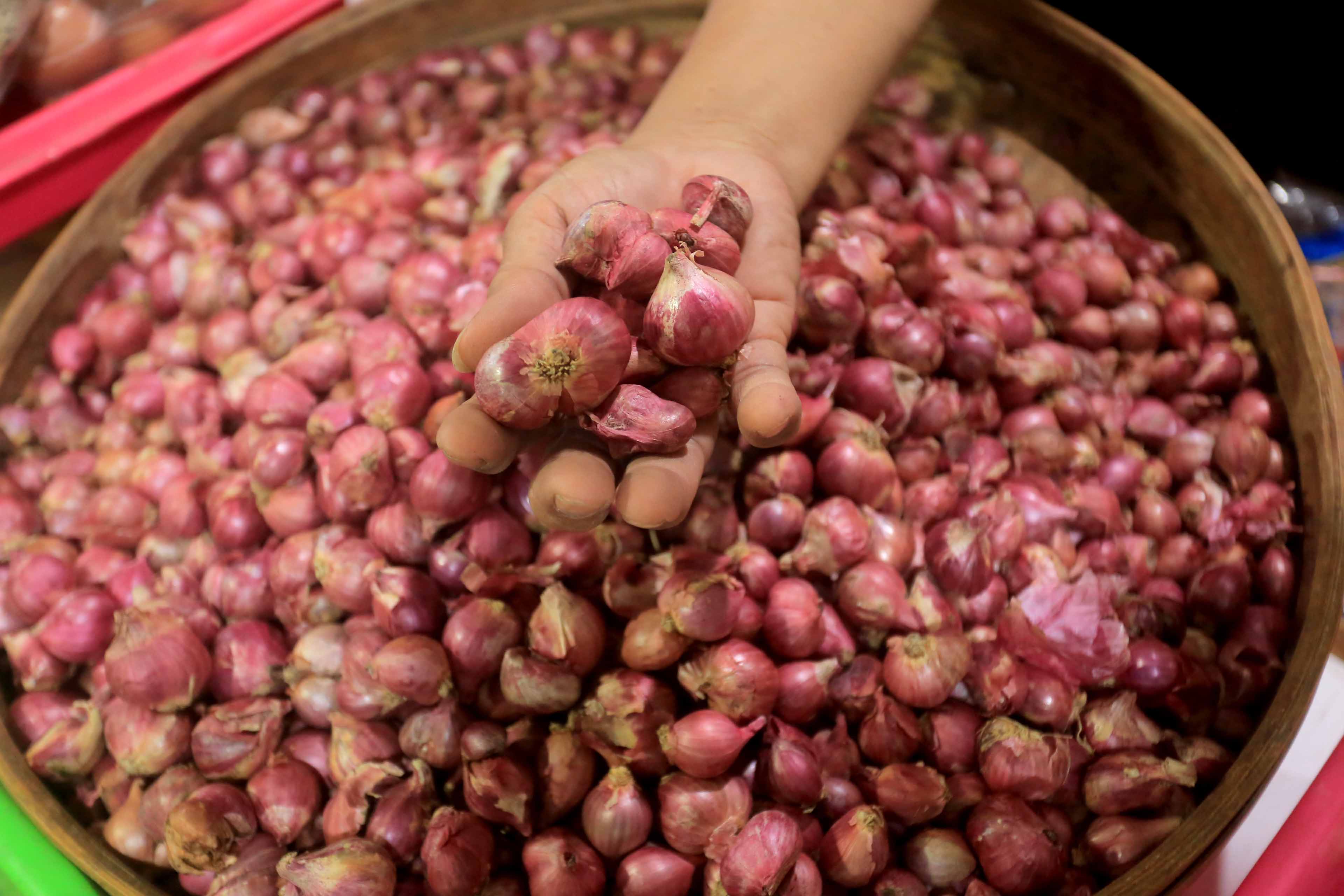 HARGA SEMPAT TURUN: Beberapa komoditas bahan pokok penyumbang deflasi pada Februari 2025.
