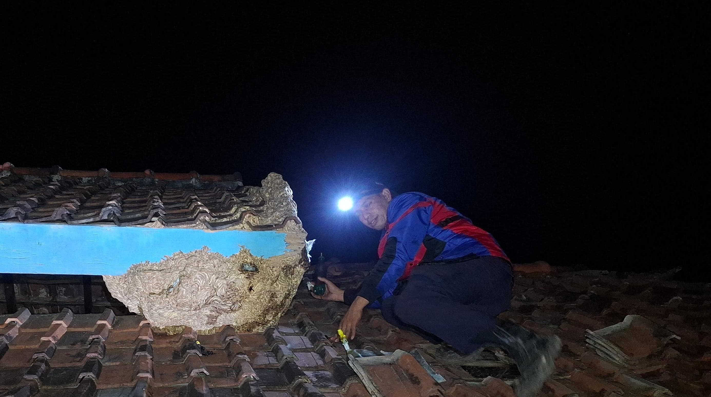 Petugas Damkar Magetan kerap menangapi laporan kasus evakuasi ular dan sarang tawon dalam tiga bulan terakhir. FOTO: AJI PUTRA/JAWA POS RADAR MAGETAN