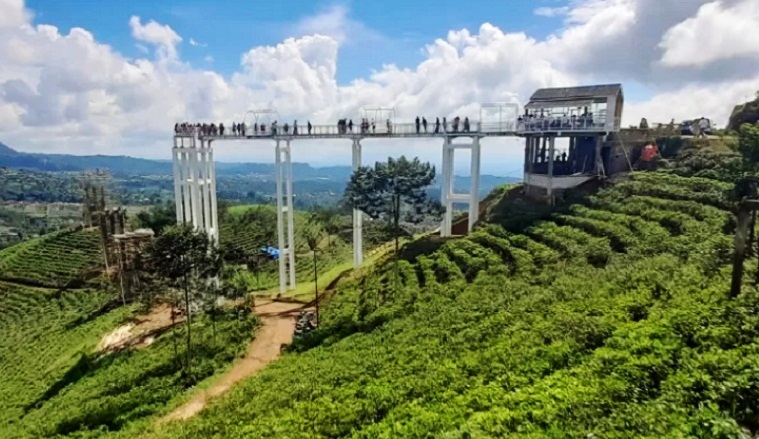 Kebung Teh Kemuning, Kabupaten Karanganyar (DOKUMEN/RADAR SOLO)