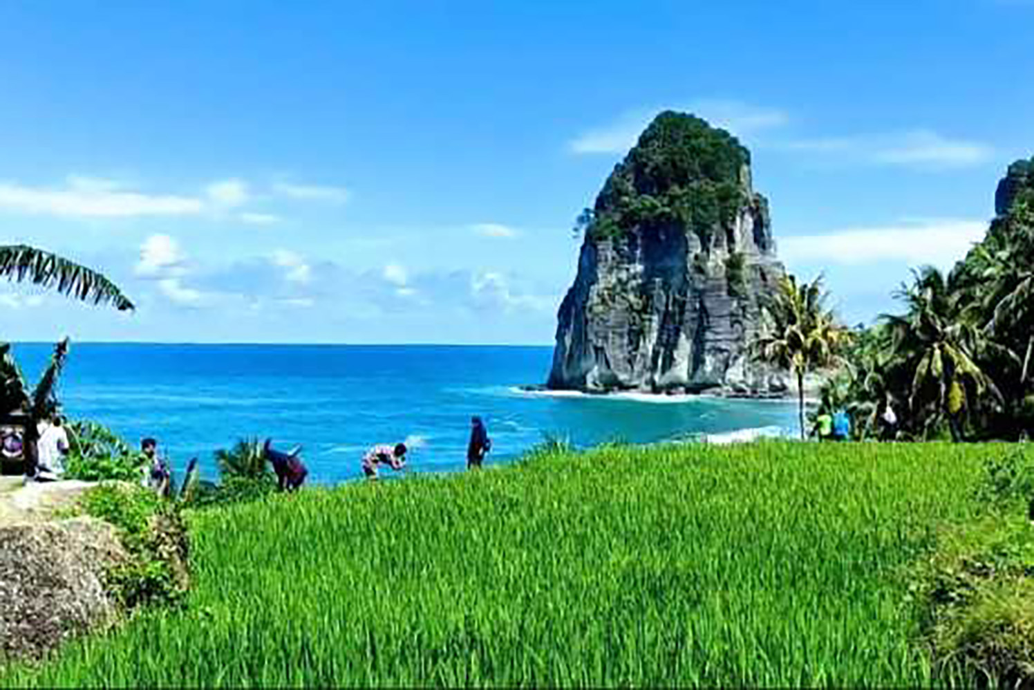 TIADA DUANYA: Pesona Pantai Pangasan. Desa Kalipelus, Kecamatan Kebonagung, Kabupaten Pacitan yang menyajikan pemandangan laut lepas, persawahan, dan perkebunan yang menghijau.