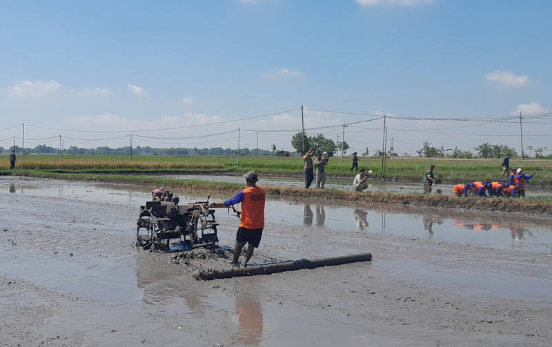 Ilustrasi Foto : Aktivitas petani Ngawi.&nbsp;Kewenangan penyuluh pertanian lapangan atau PPL bakal dihandle pemerintah pusat.