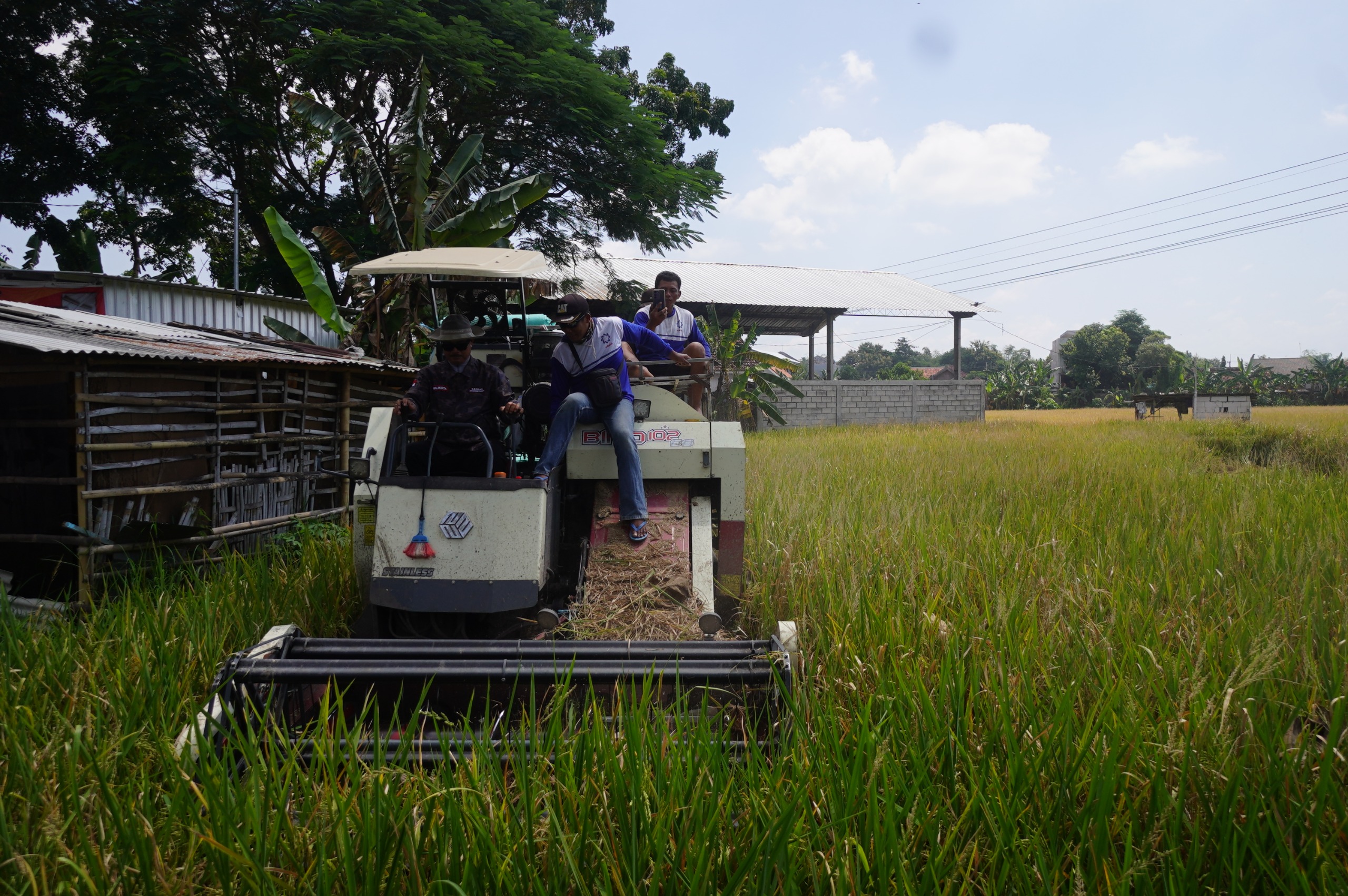 Wali Kota Maidi melakukan panen serentak di Kelurahan Manisrejo, Kecamatan Taman, Senin (7/4) lalu. FOTO: DISKOMINFO UNTUK JAWA POS RADAR MADIUN