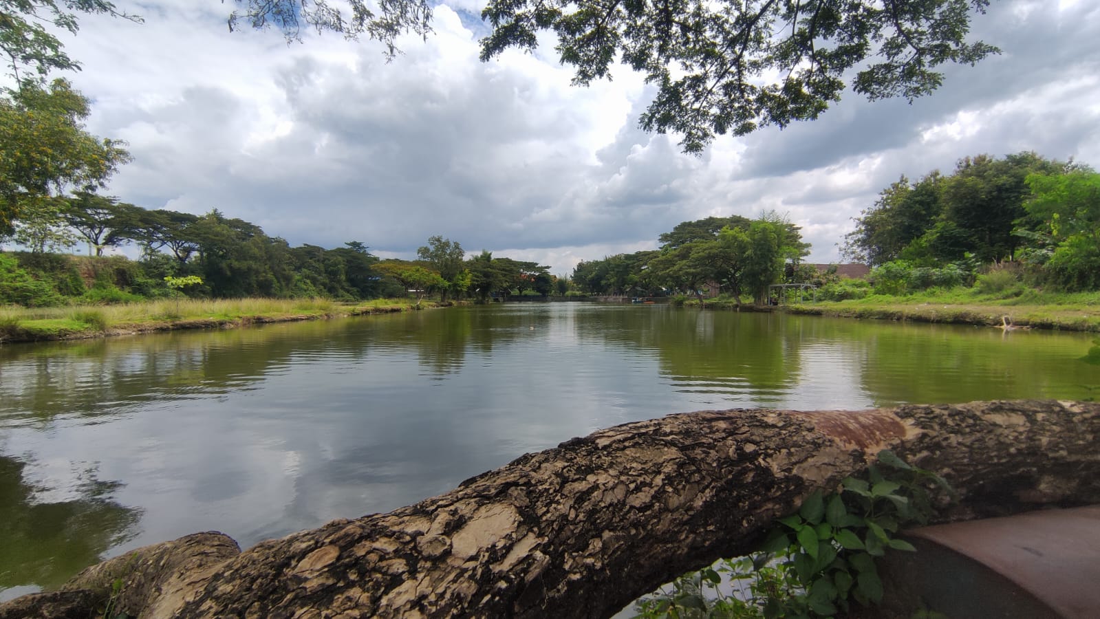 WISATA DESA: Embung Sekip dikelola BUMDes Ngawi menjadi objek wisata pemancingan dan sering digunakan sebagai venue event lomba memancing.