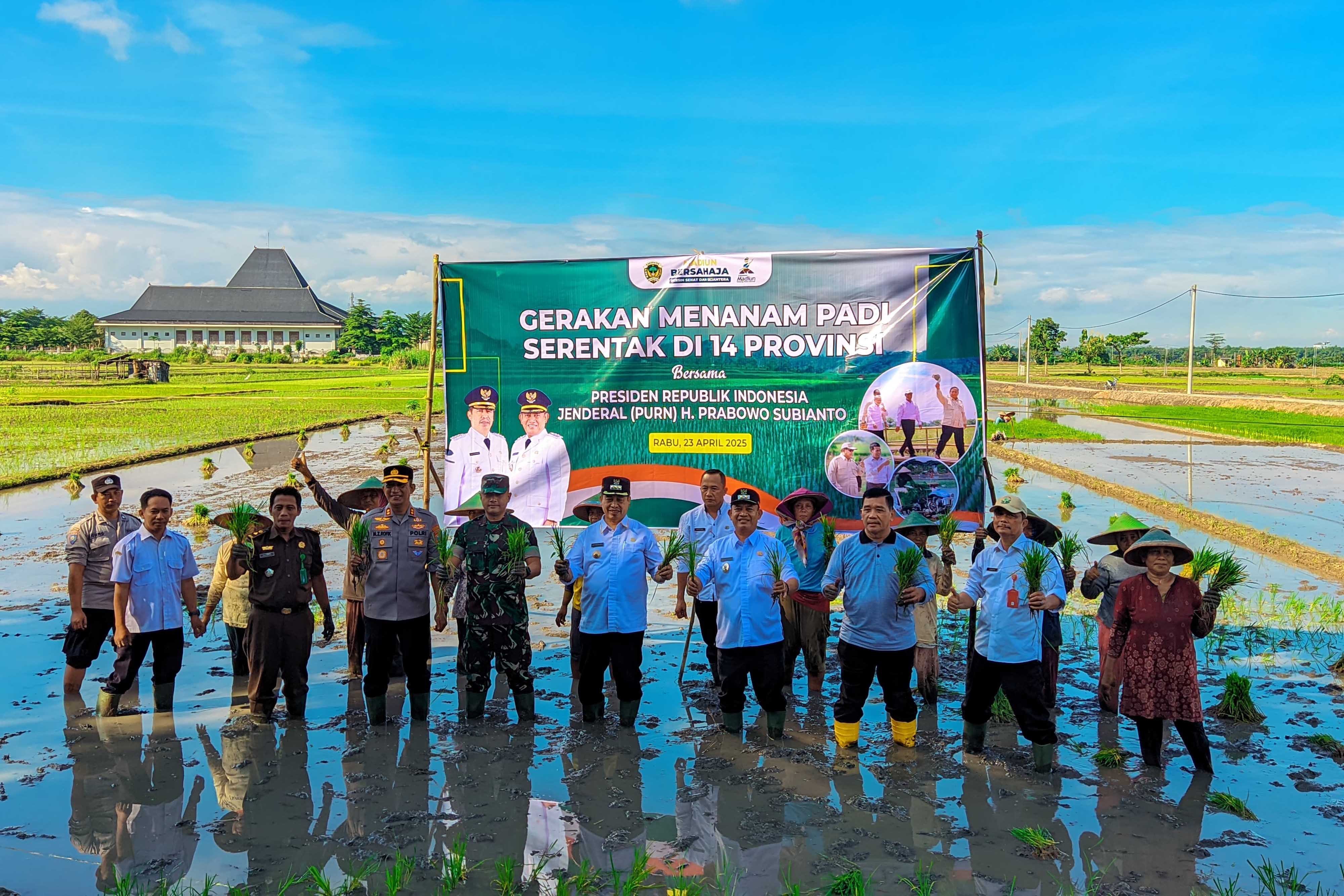 KOMPAK: Bupati Madiun Mas Hari Wur, Wabup Dokter Pur dan jajaran forkompida melakukan penanaman padi secara manual di persawahan Desa Ngampel, Mejayan, Rabu 23 April 2025.