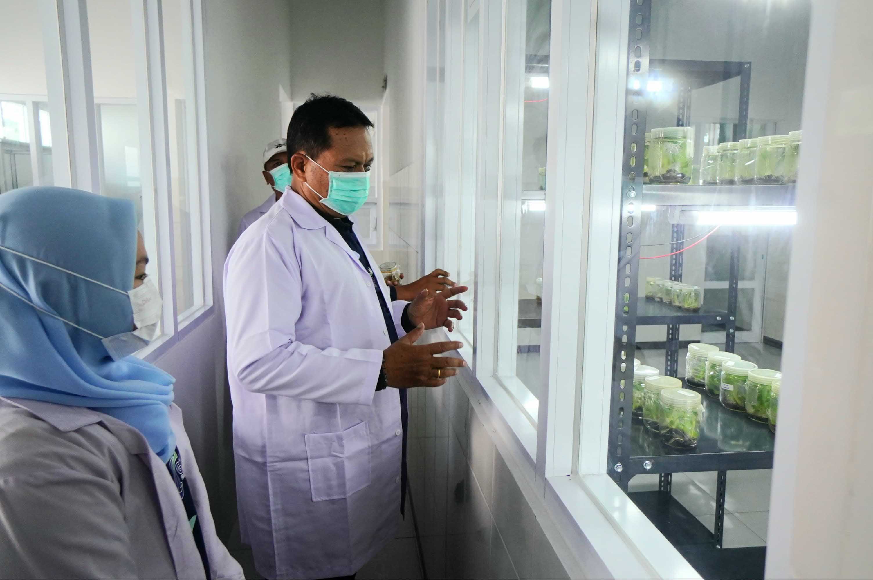 SEKTOR PERTANIAN: Wali Kota Madiun Maidi saat meninjau laboratorium kultur jaringan di kantor DKPP Kota Madiun.