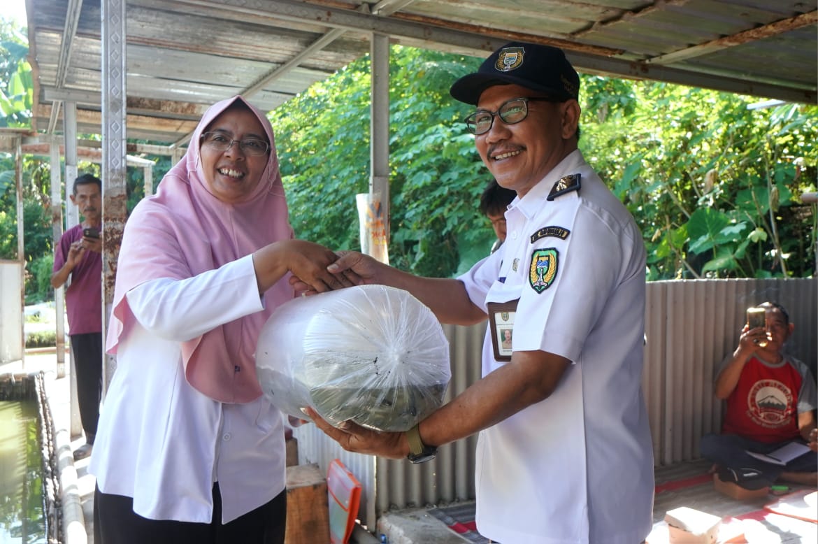 Petugas DKPP Kota Madiun menebar benih ikan gurami dan patih sebagai bagian dari program restocking. FOTO: DISKOMINFO UNTUK RADAR MADIUN