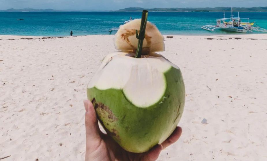Ilustrasi minum air kelapa.