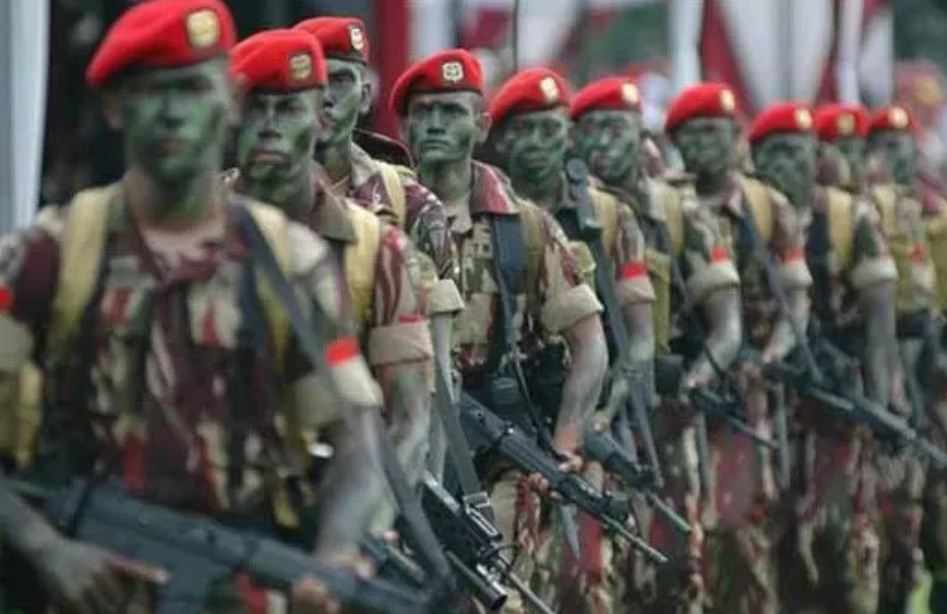 Ilustrasi prajurit Tentara Nasional Indonesia atau TNI.