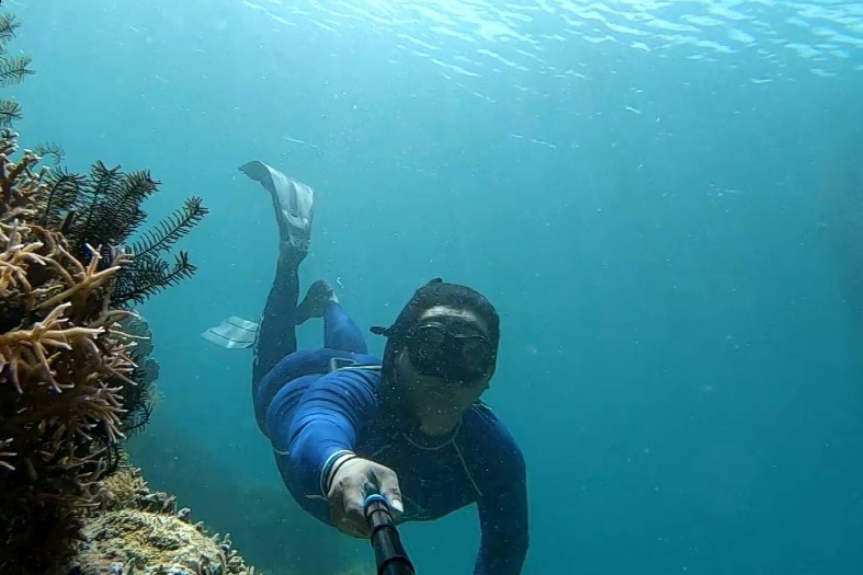 Sebagai negara kepulauan, Indonesia dikenal memiliki banyak destinasi wisata bawah laut unggulan yang memiliki pesona luar biasa. Salah satunya di Kepulauan Derawan, Kalimantan Timur.