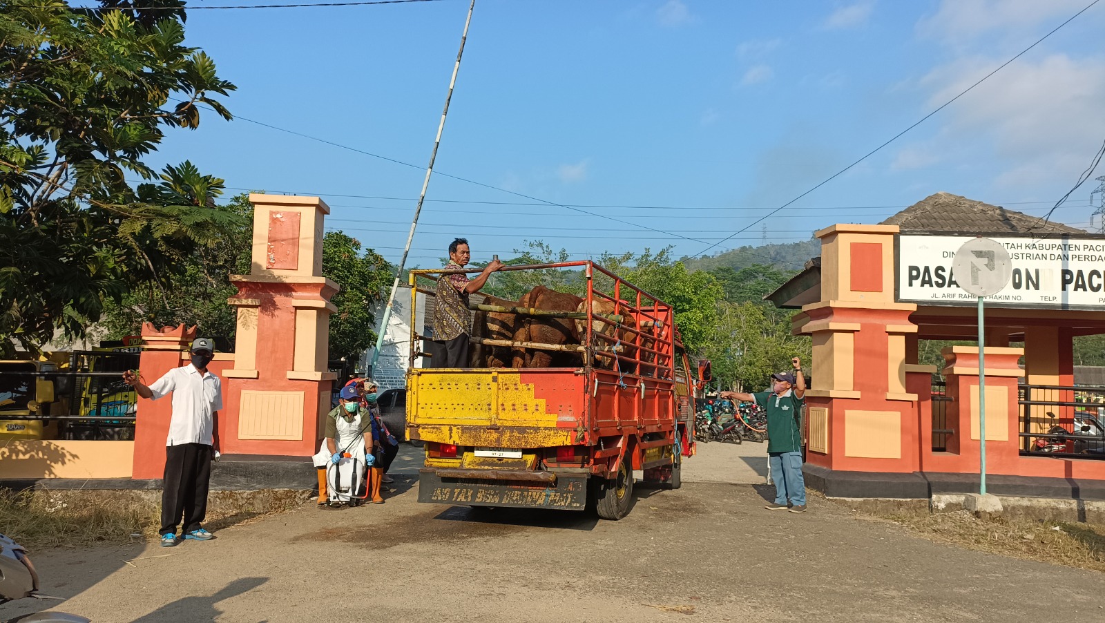 Serangan penyakit mulut dan kuku (PMK) pada hewan kurban belum berakhir di Pacutan, tetapi peternak sudah dikejutkan dengan ancaman antraks jelang Idul Adha. FOTO:&nbsp;NUR CAHYONO/JAWA POS RADAR PACITAN