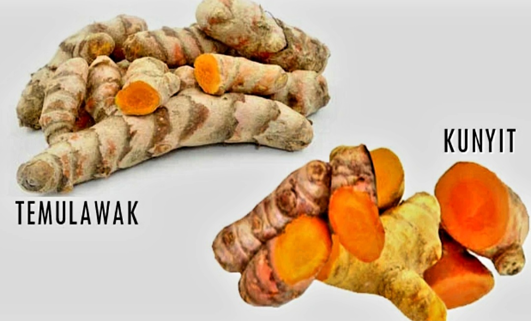 Gunakan rempah seperti kunyit, temulawak dan jahe untuk bantu turunkan kolesterol.