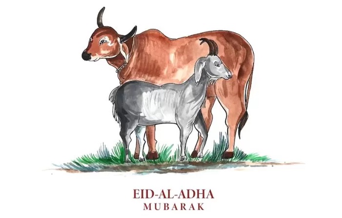 Ilustrasi membeli hewan kurban Idul Adha sesuai syariat.