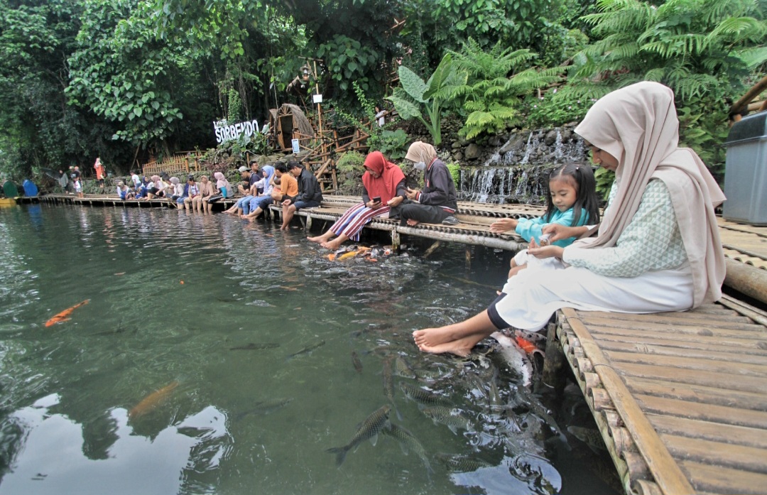 Terapi ikan koi Sor Bendo di Magetan.