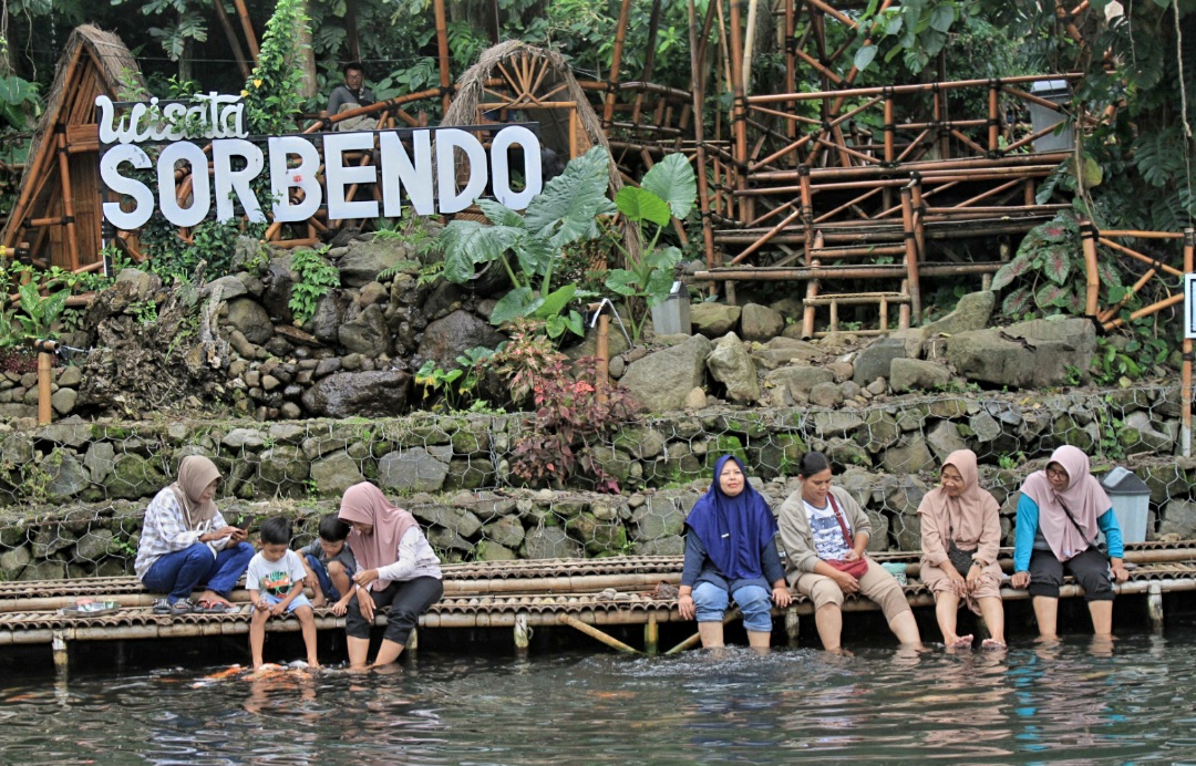 Sensasi terapi kaki alami bersama ratusan ikan koi di Wisata Sor Bendo.